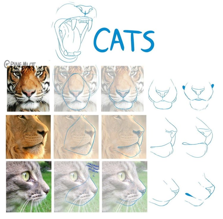 Построение кошачьей морды