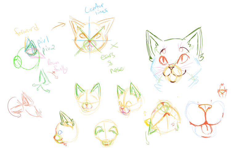 Лев анатомия анфас