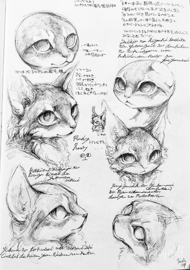 Кошка морда референс анатомия