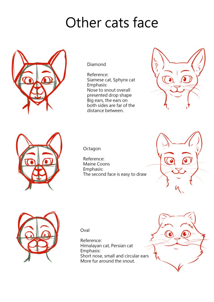 Скетчи котов