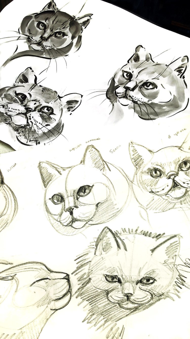 Морда кота сбоку туториал