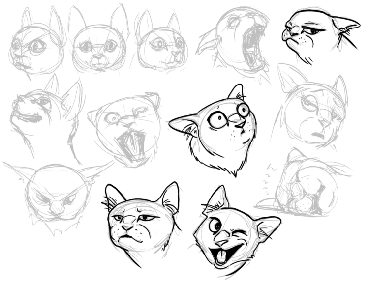 Референс лисы спереди