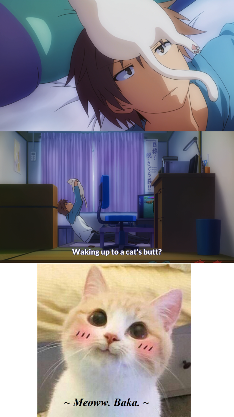 Невыспавшийся котенок