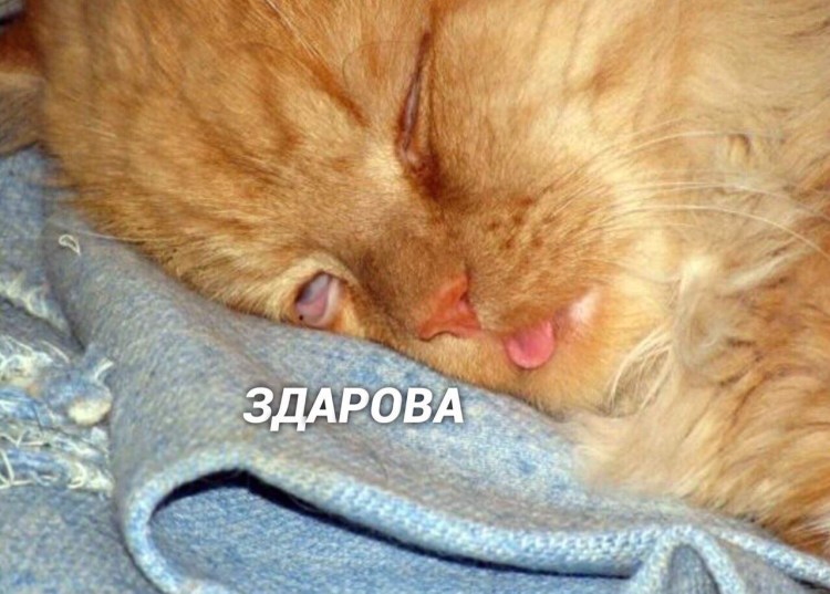 Утренняя лень