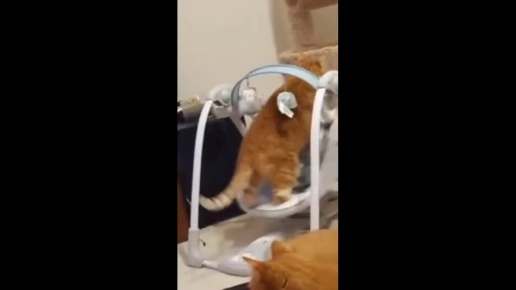 Мемы про поддержку