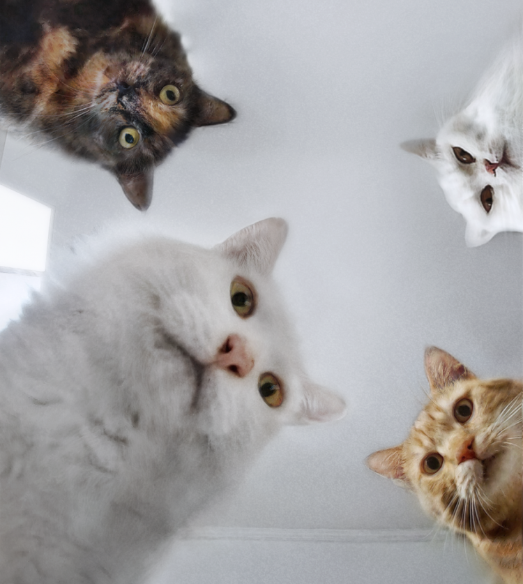 Просыпаемся прикольные