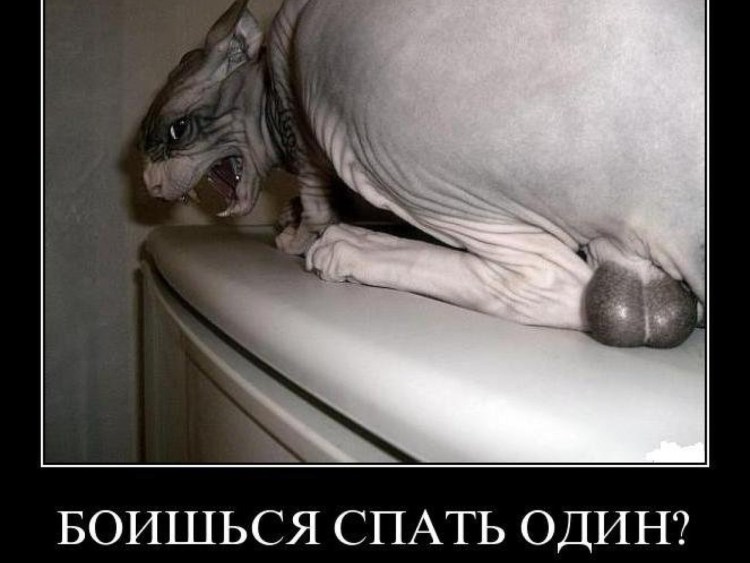 Не люблю неулыбчивых людей