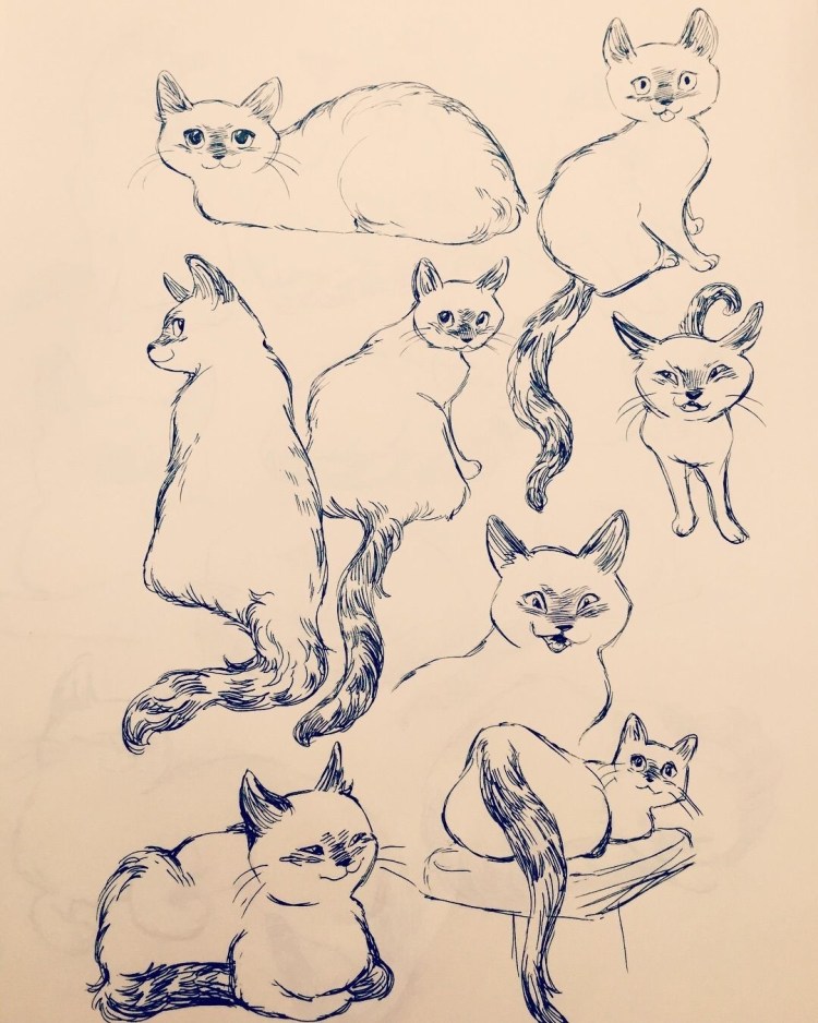 Набросок кота