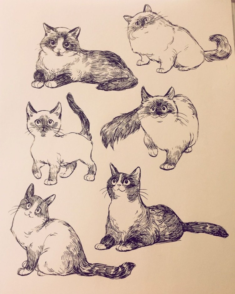 Кошка скетч