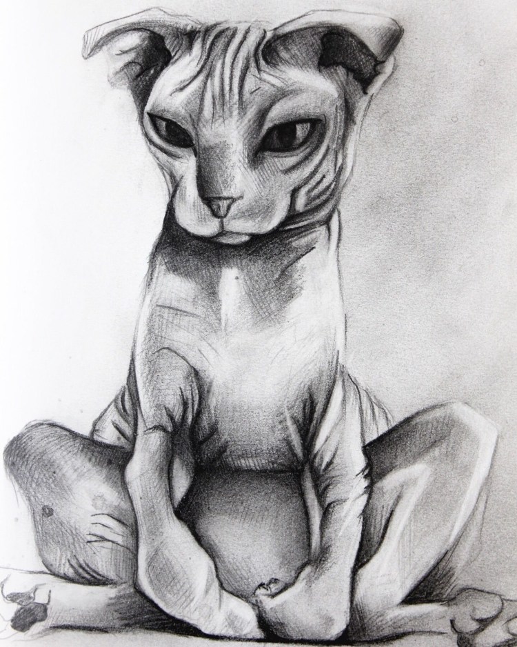 Кот лежит референс