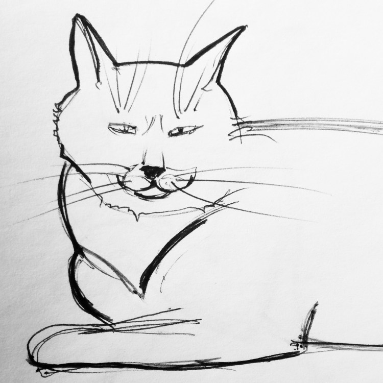 Коты скетчи