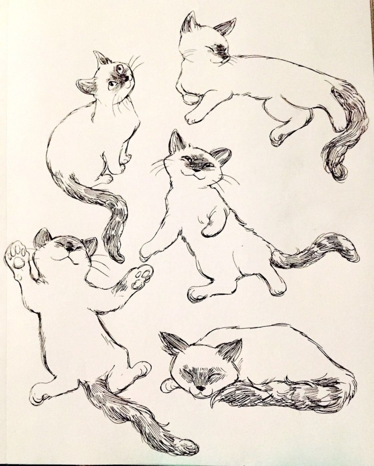 Наброски домашних животных