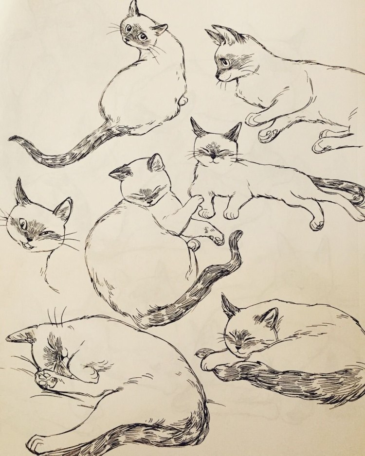 Графический рисунок кошки