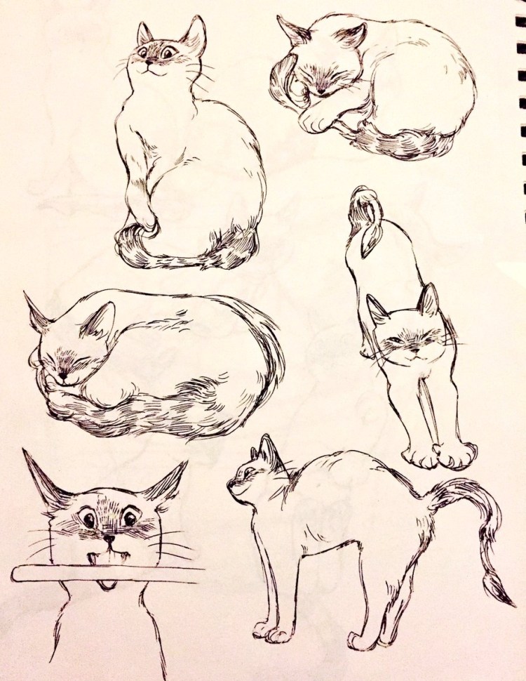 Котик скетч