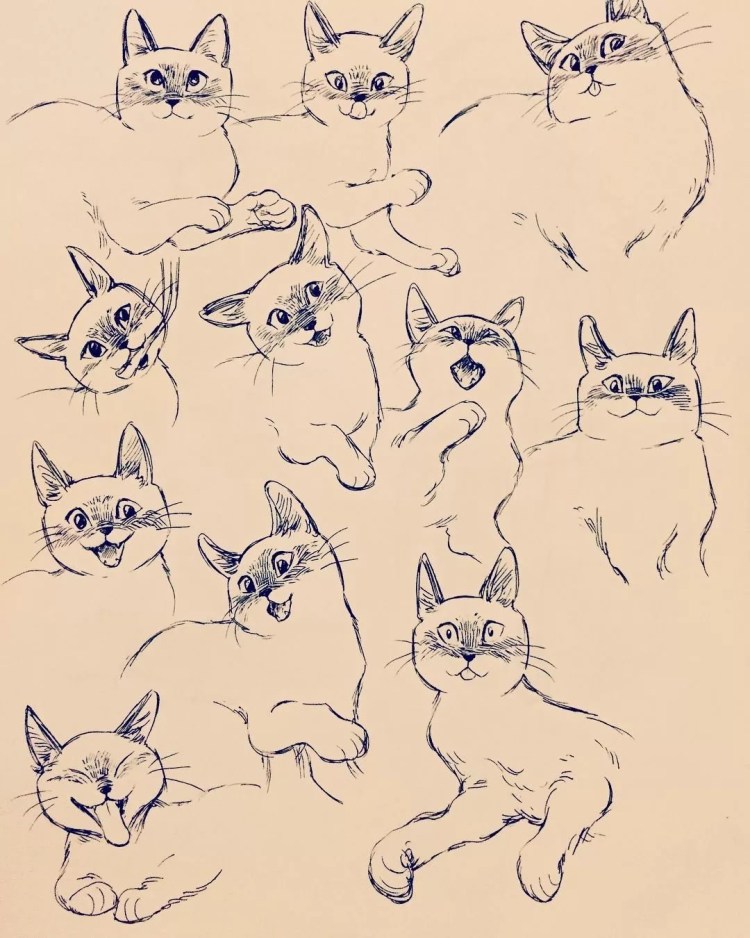 Арты животных котики скетч