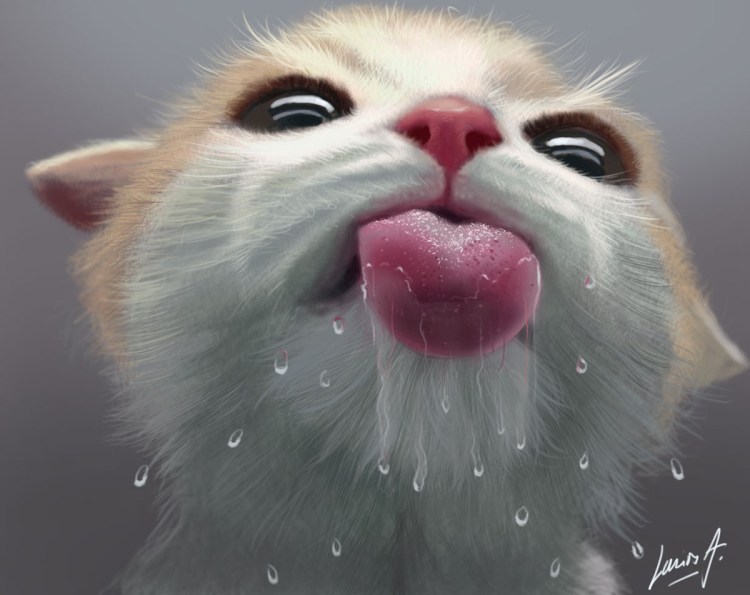 Котенок лижет экран