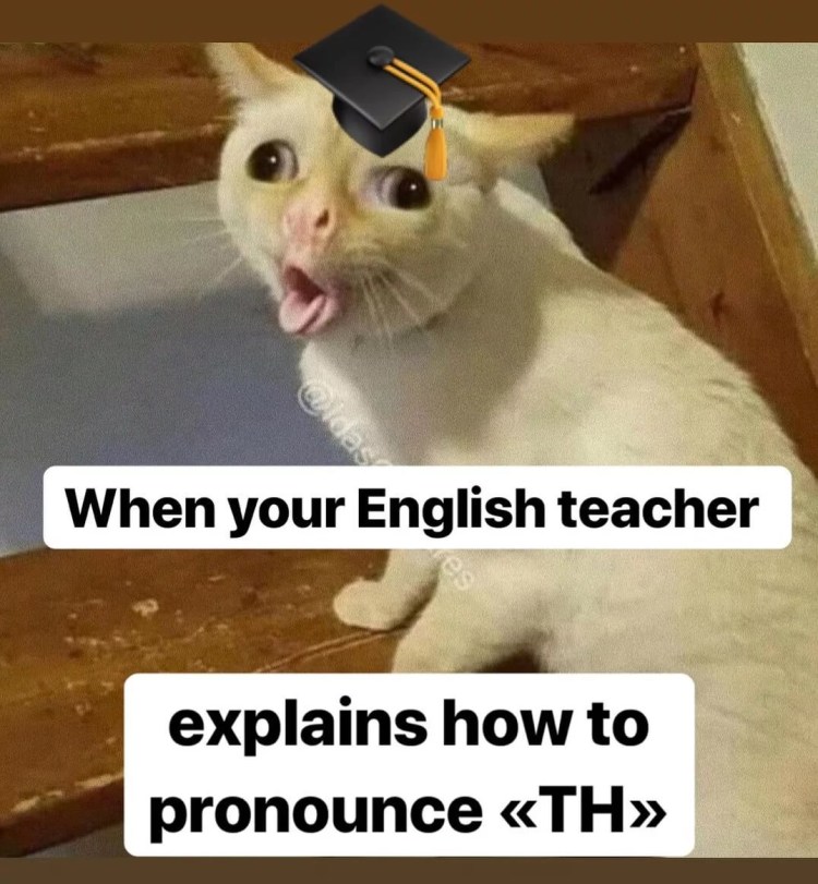 Кот улыбается с зубами