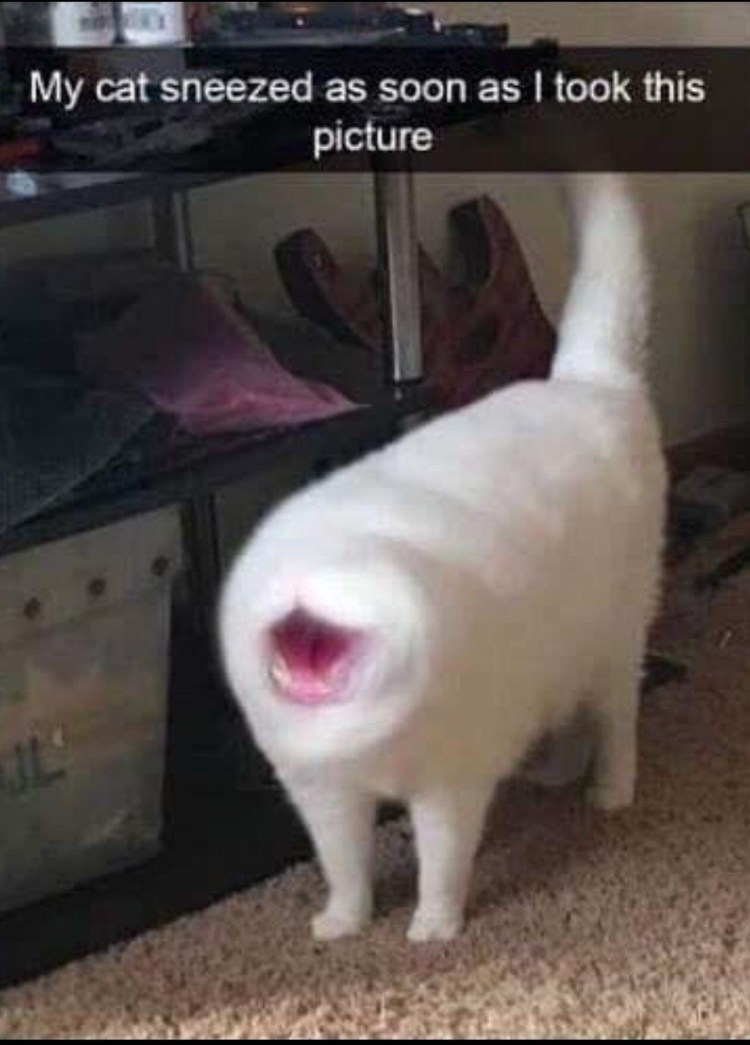 Когда учитель английского