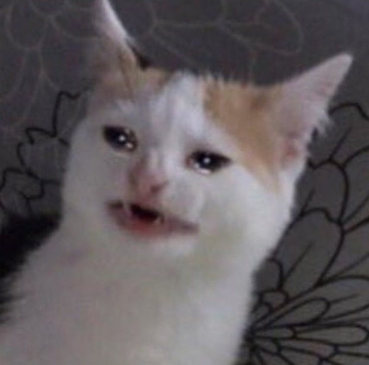 Мем с котами