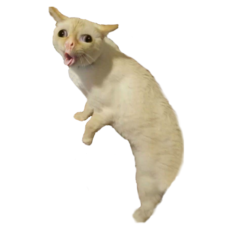 Кашляющий кот оригинал