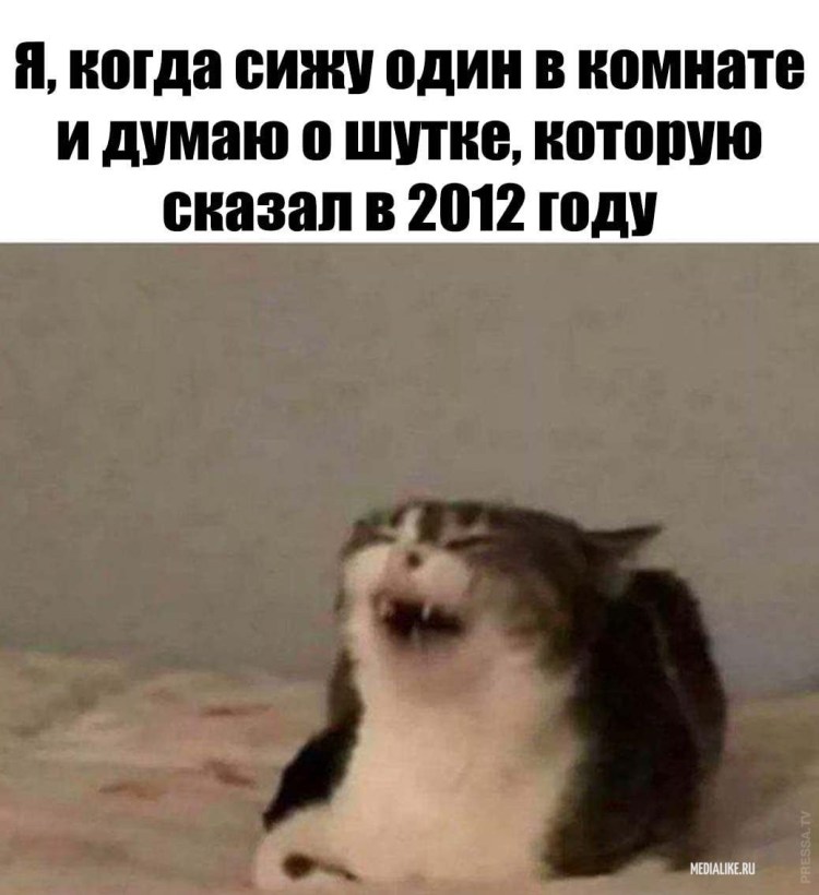 Кот с микрофоном