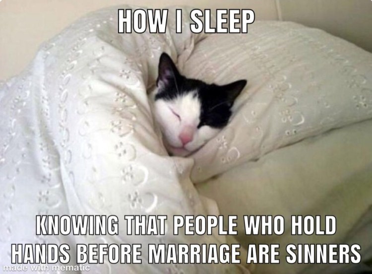 Кот спит в кроватке