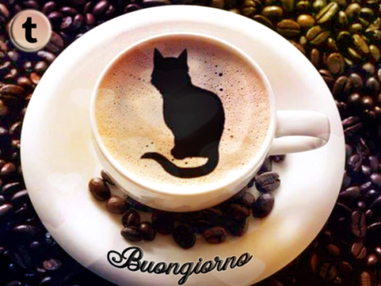 Котик с чаем