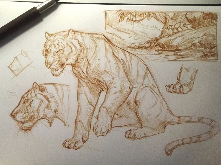 Тигр референсы