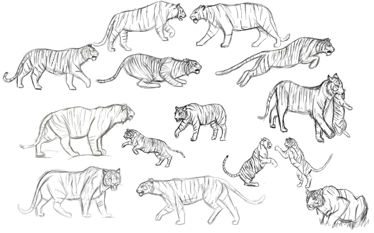 Референс тигра