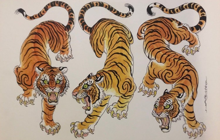 Лев референс анатомия