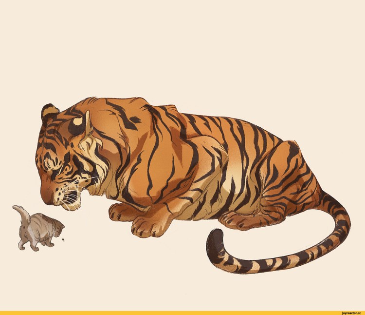 Зарисовки тигров