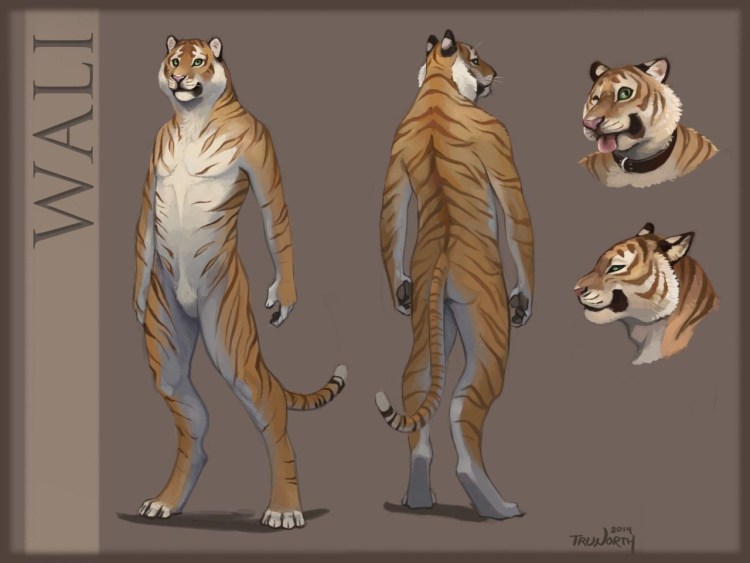 Референс фурри тигра