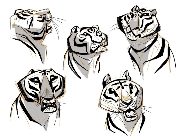 Тигр референс анатомия