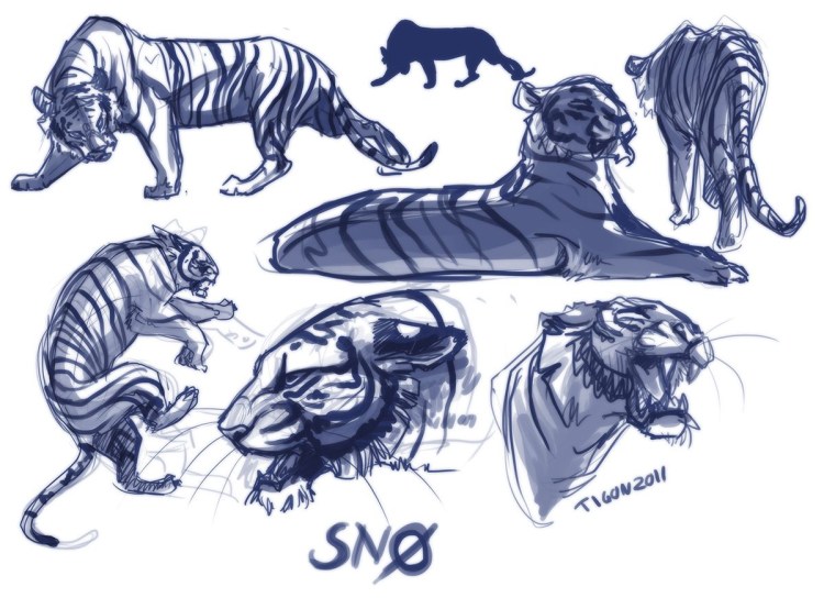 Тигр референсы