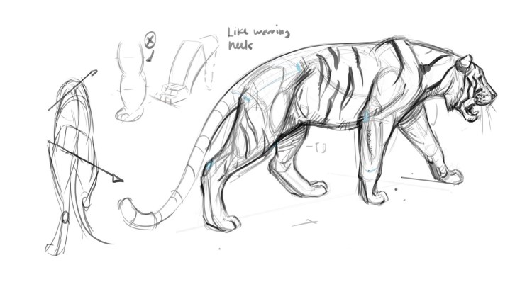 Тигр леопард гепард рост