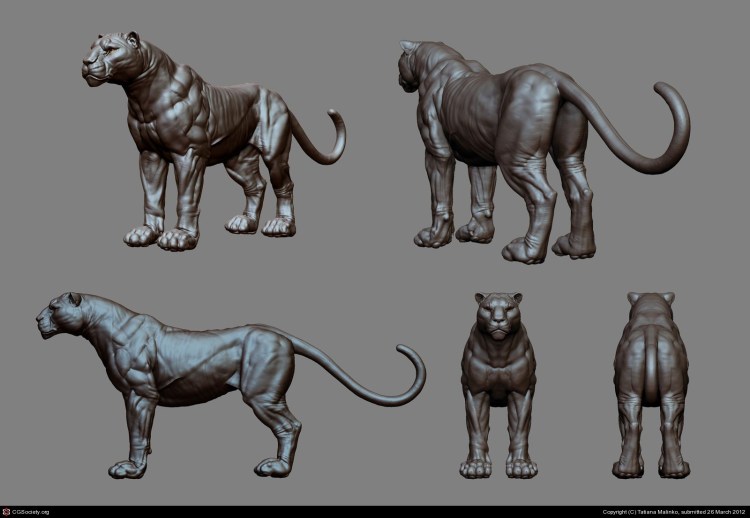 Лев референс анатомия