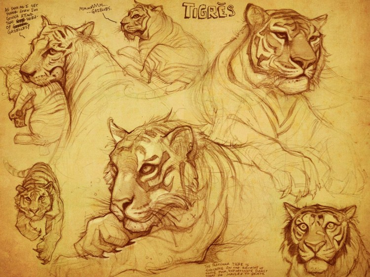 Рисунки легкого тигра туториал