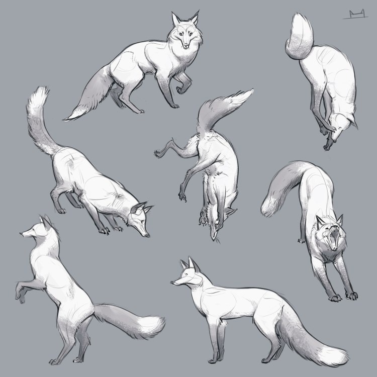 Человек с кошкой референс