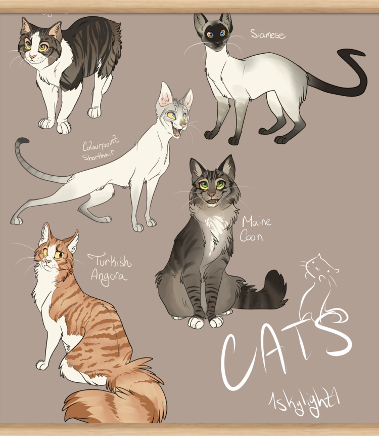 Кошка сбоку референс