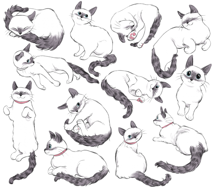 Nightrizer коты Воители