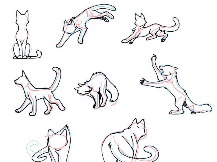 Позы котов для рисования