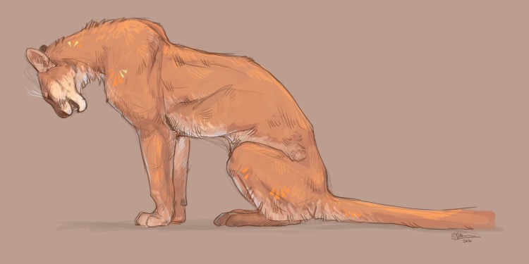 Кот сбоку референс