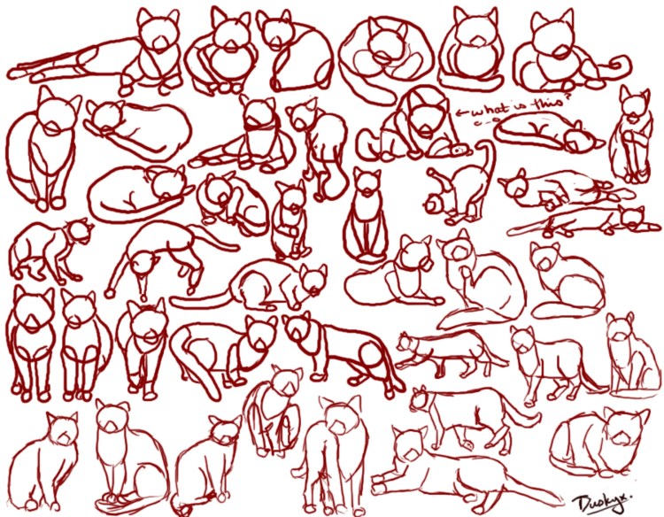 Коты референс коты Воители