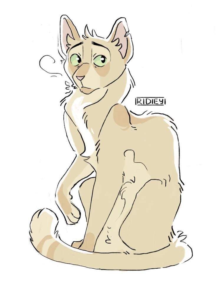 Позы котов воителей референсы