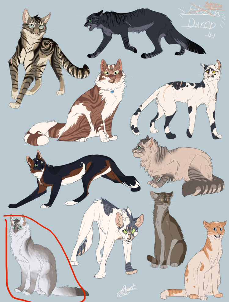 Наброски кошек
