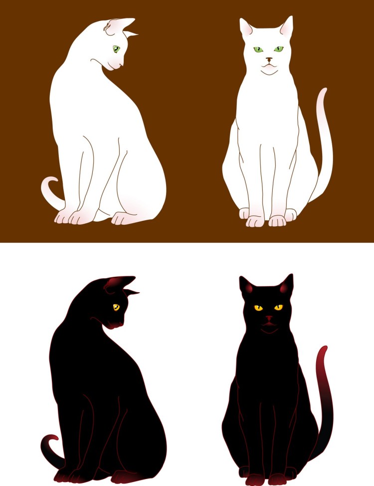 Коты Воители Сиамская кошка