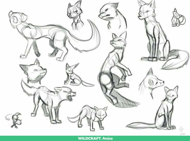 Кошки референс туториал