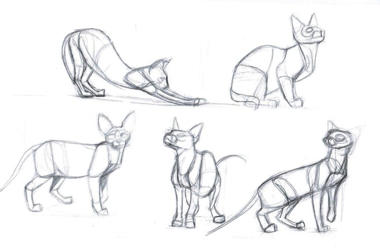 Коты Воители туториалы