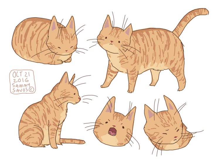 Референс анатомия котов воителей