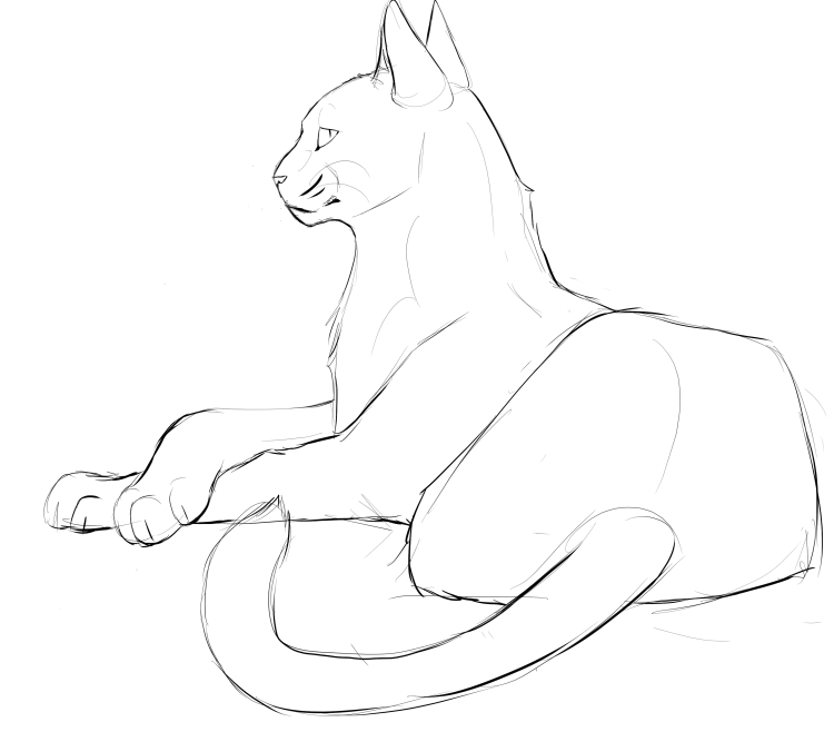 Кот лежит референс